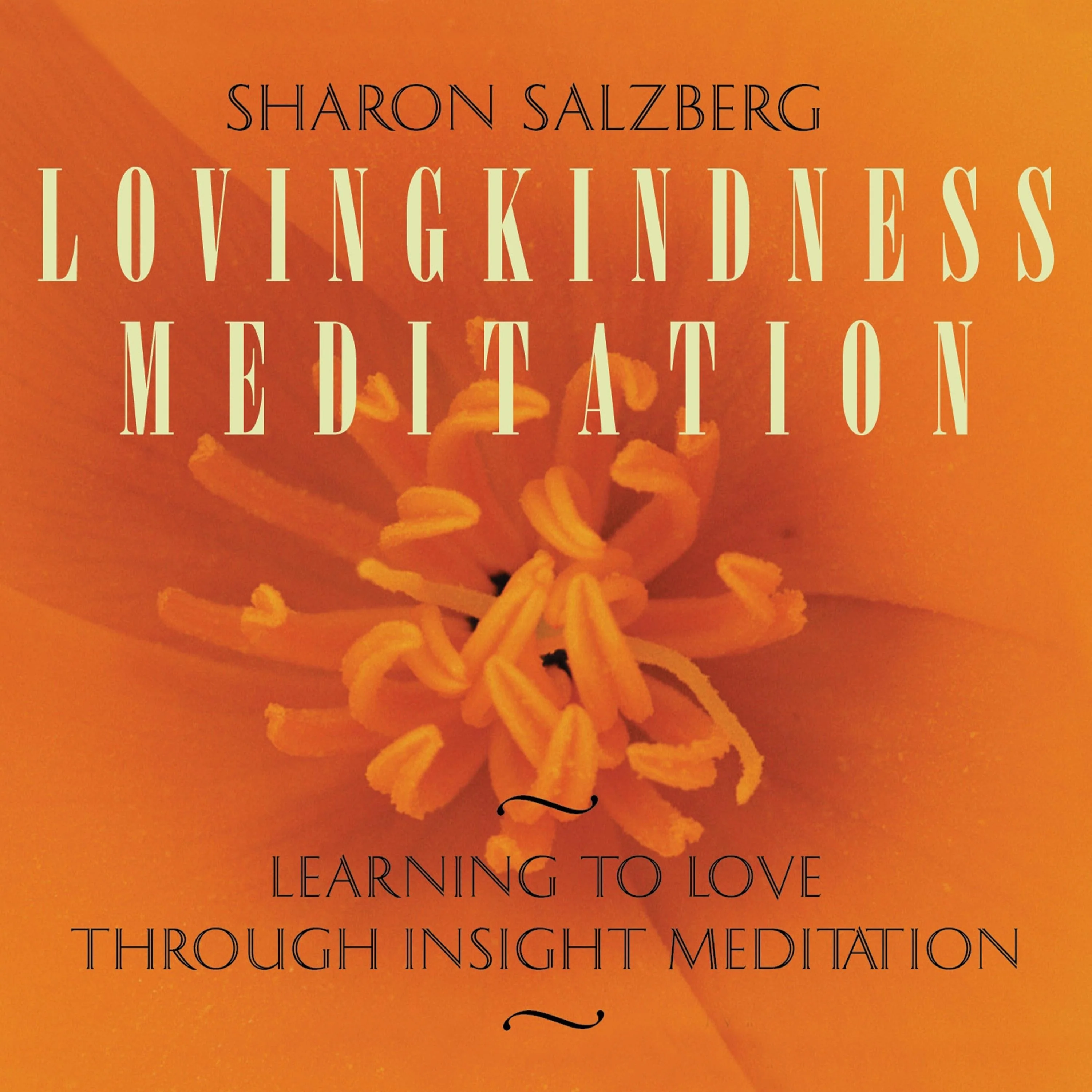 Lovingkindness Meditation
