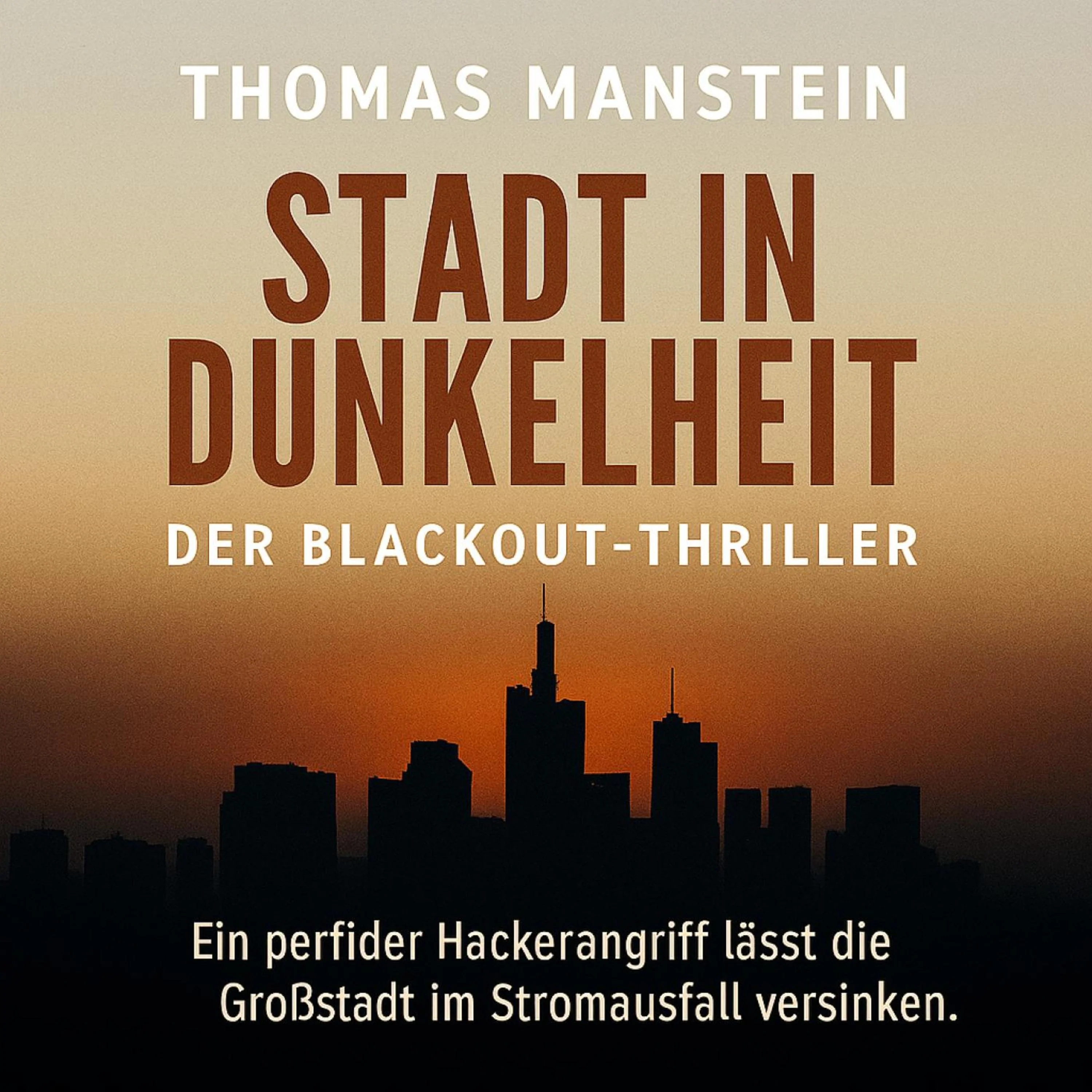 Stadt in Dunkelheit - Der Blackout-Thriller