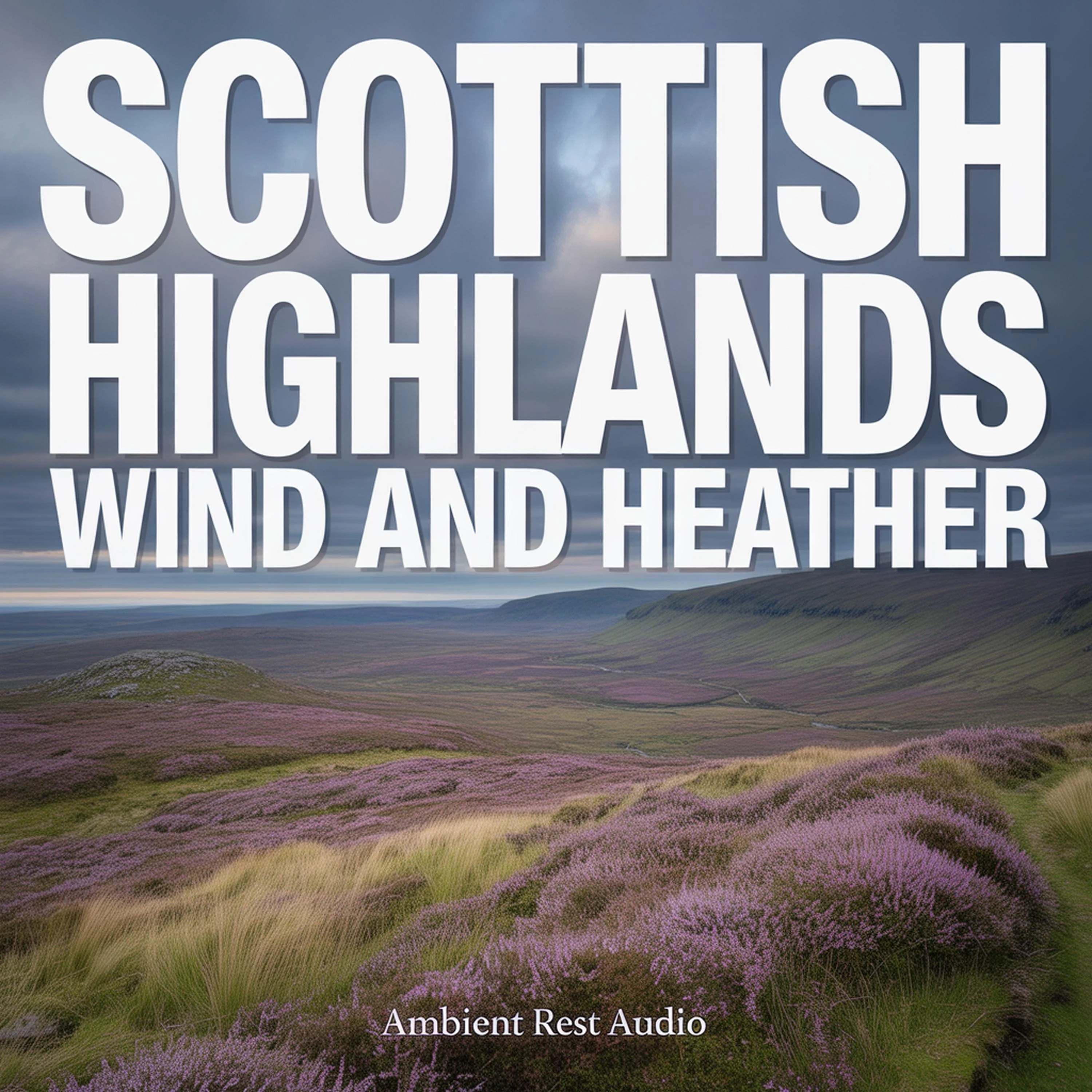 Scottish Highlands Wind and Heather