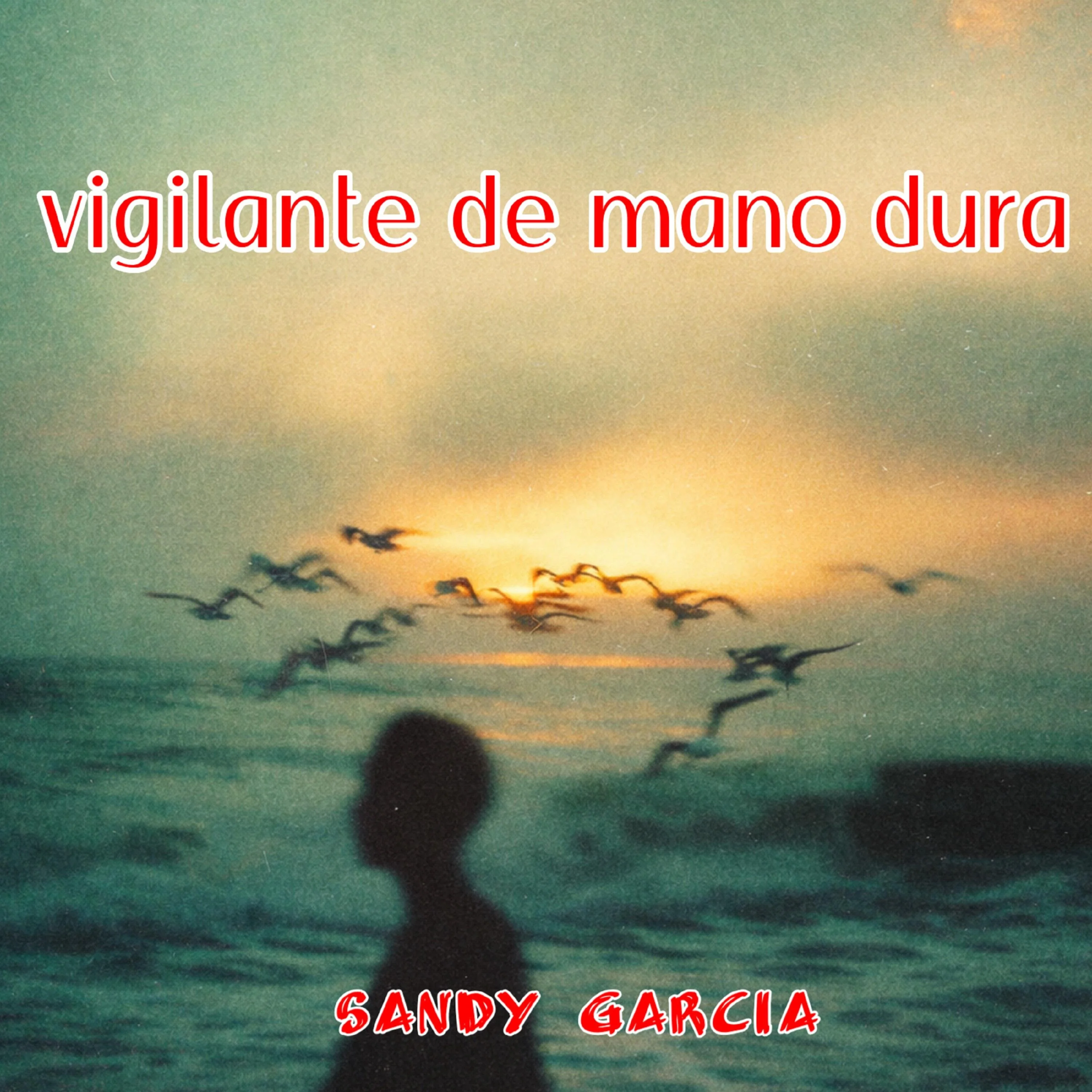 vigilante de mano dura