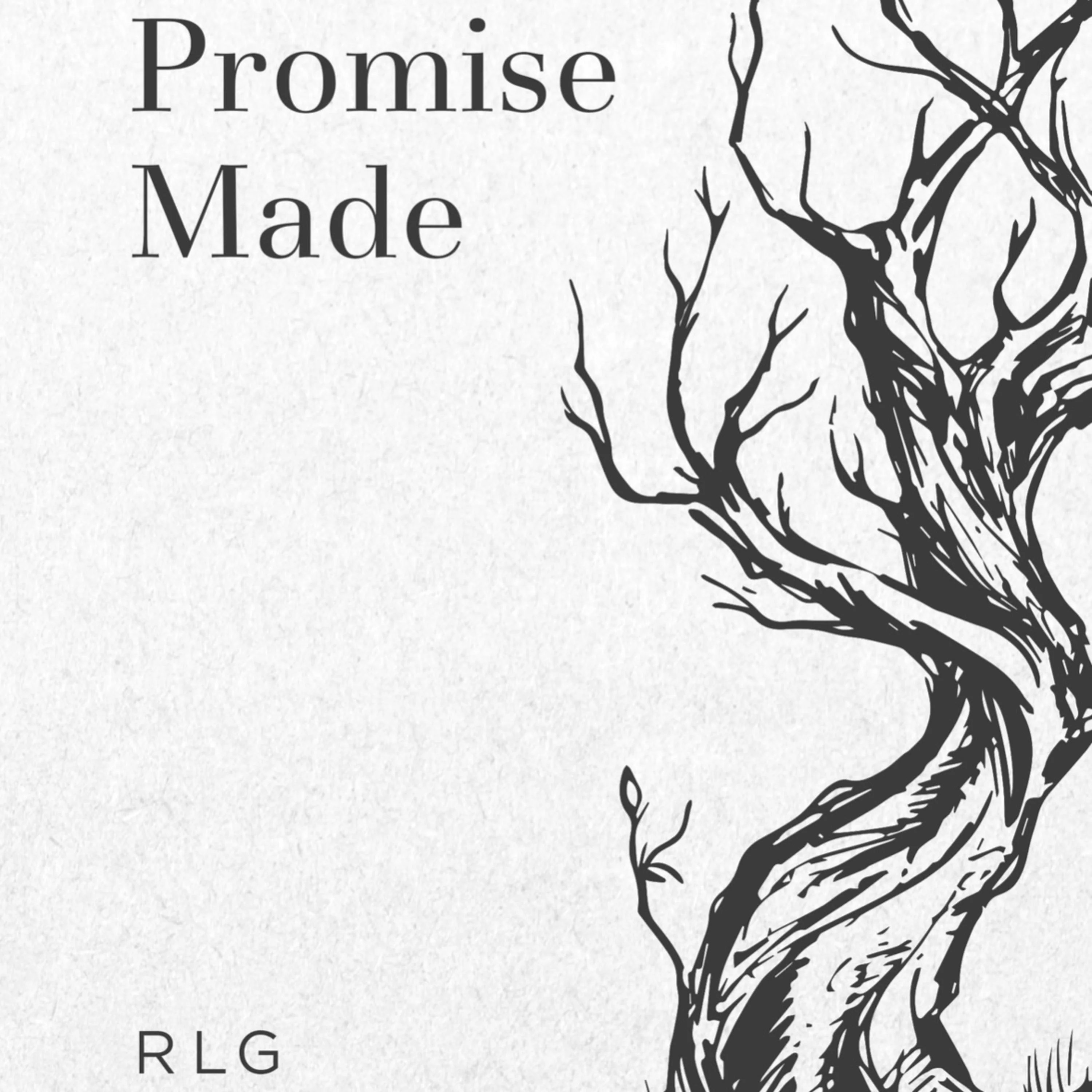PROMISE MADE