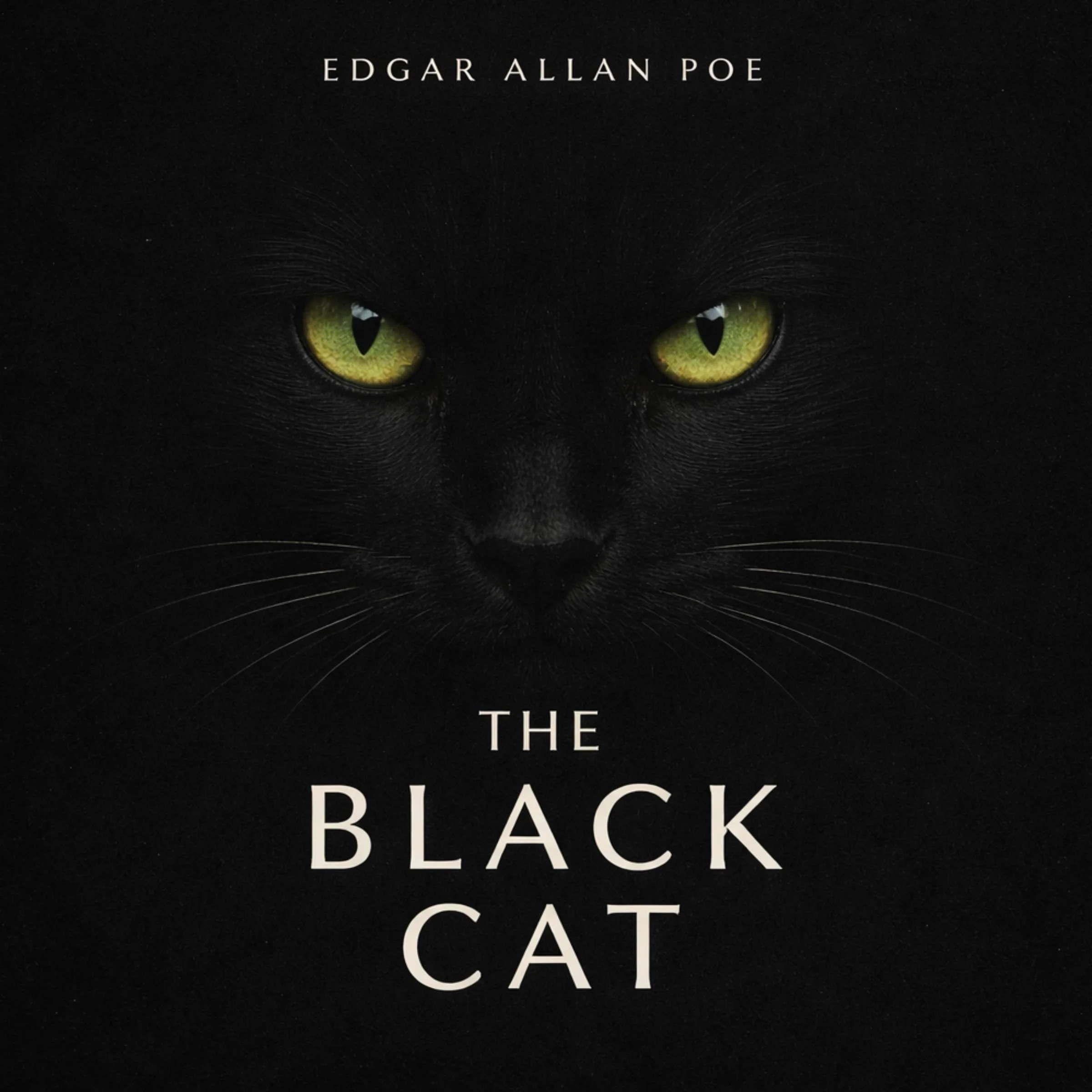 The Black Cat