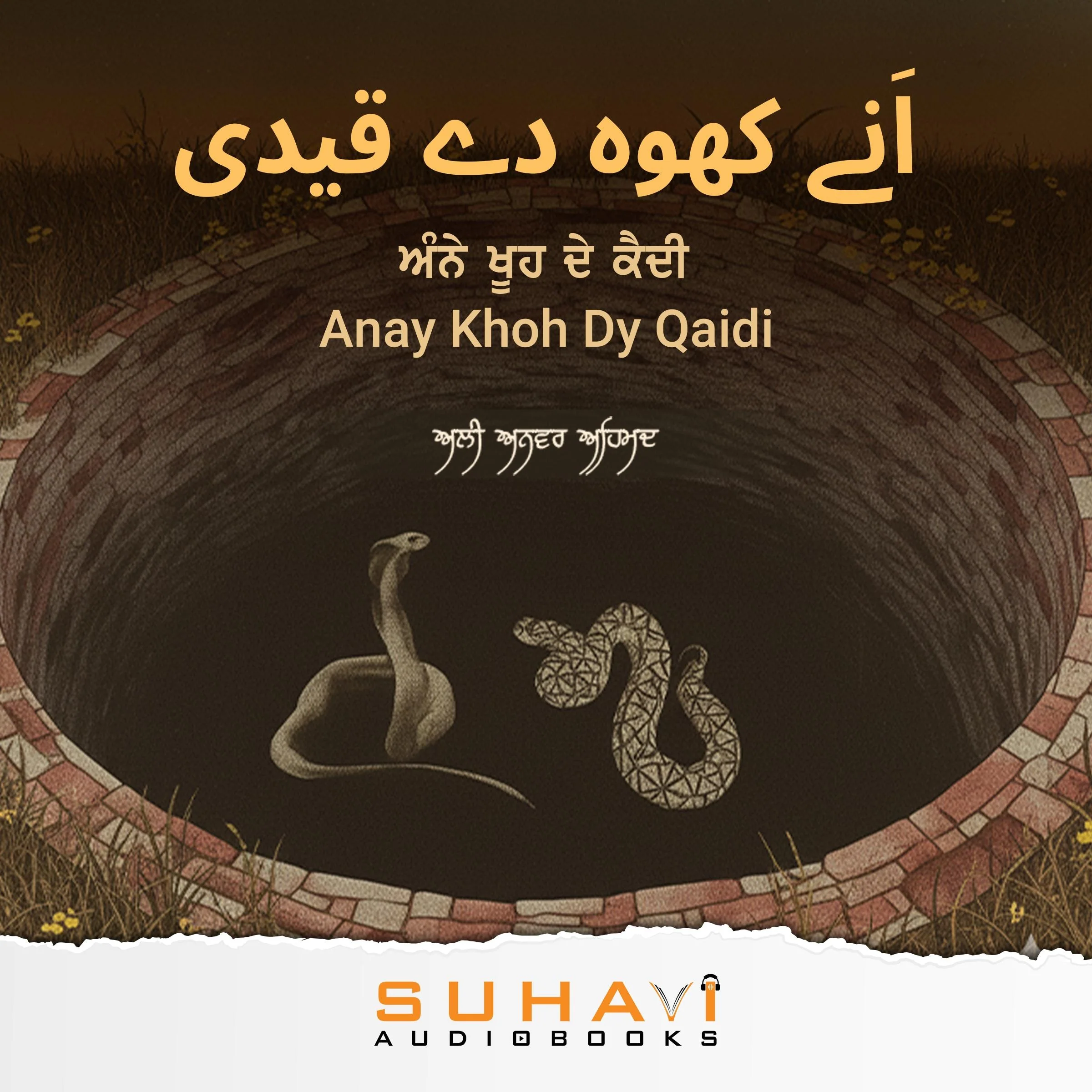 Anay Khoh Dy Qaidi