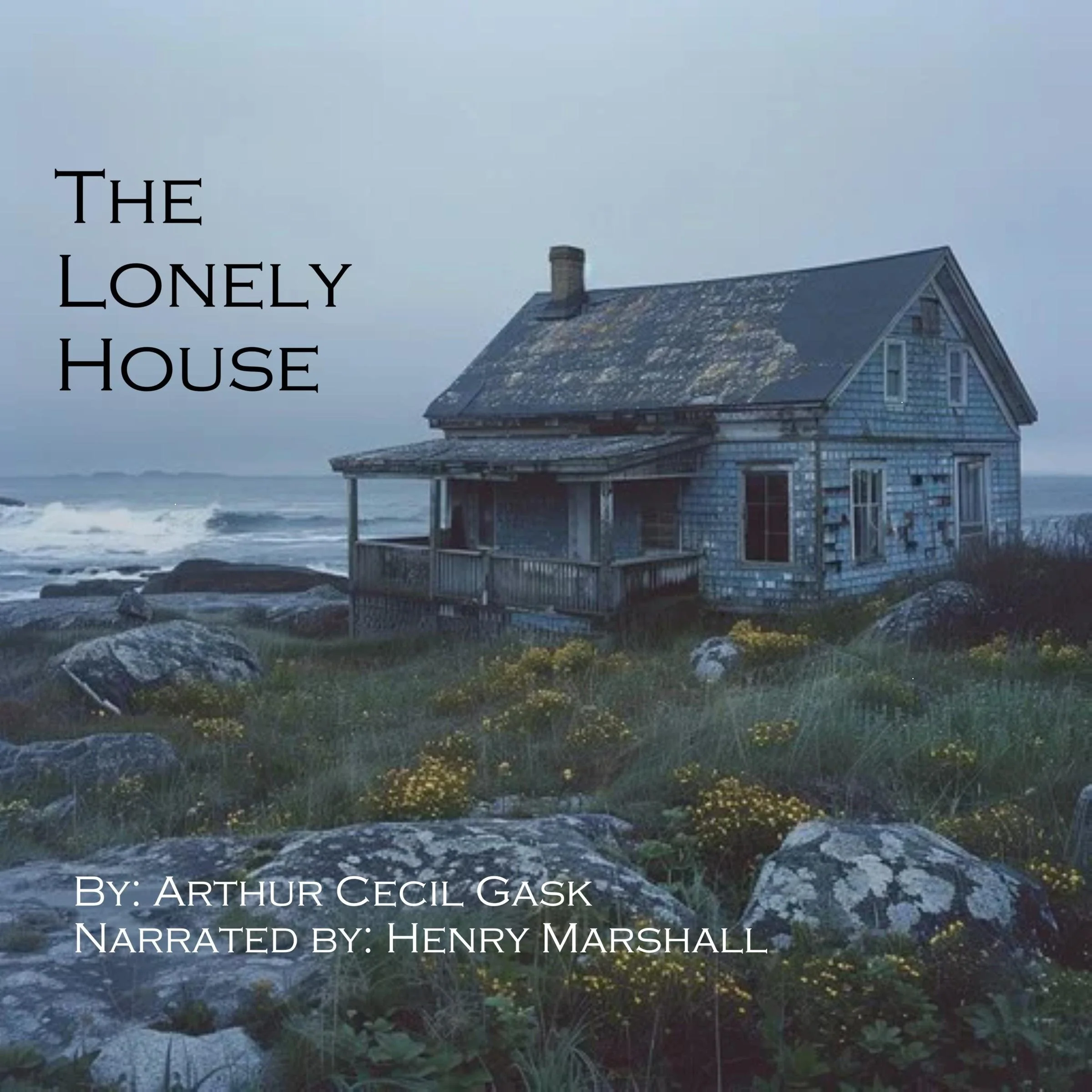 The Lonely House