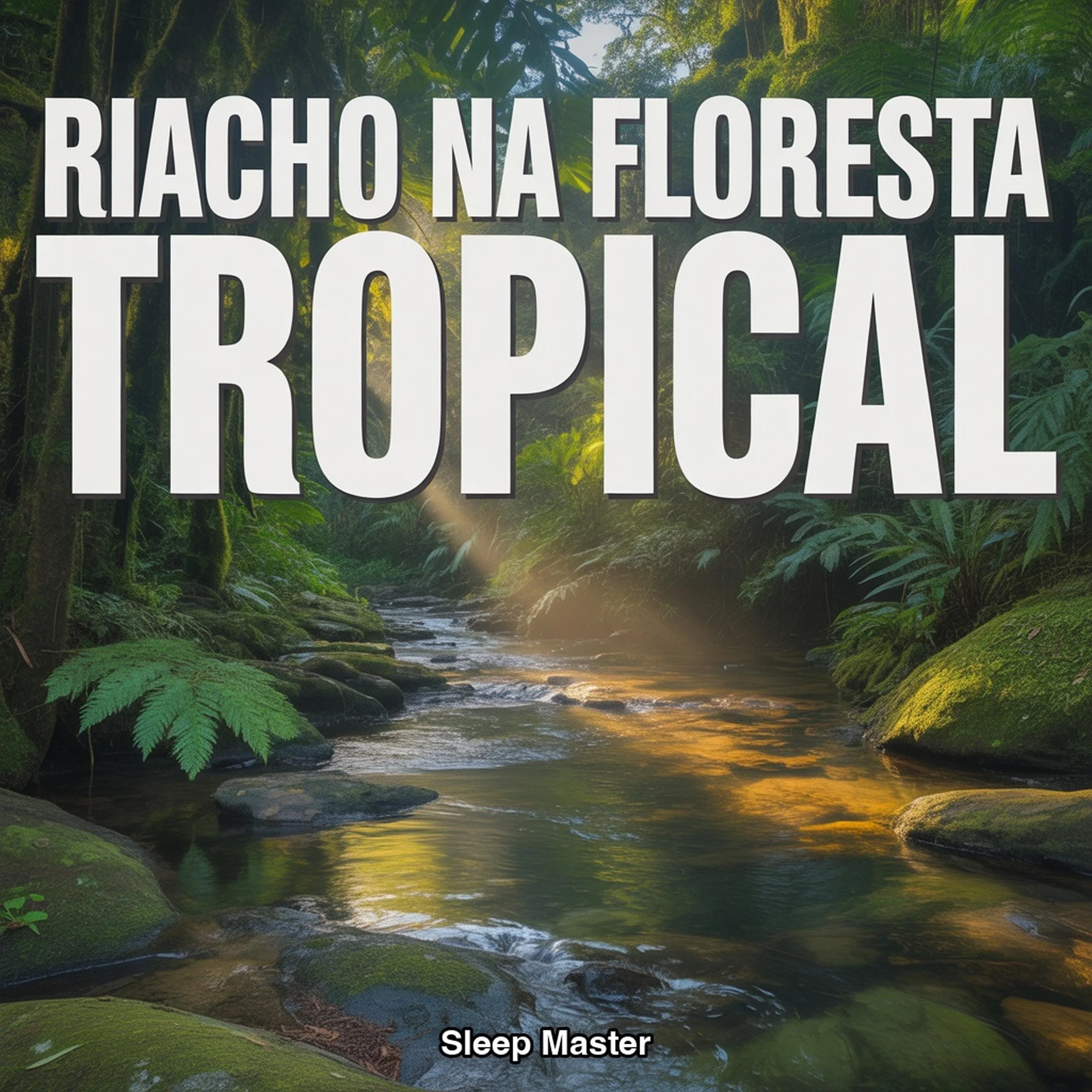 Riacho na Floresta Tropical
