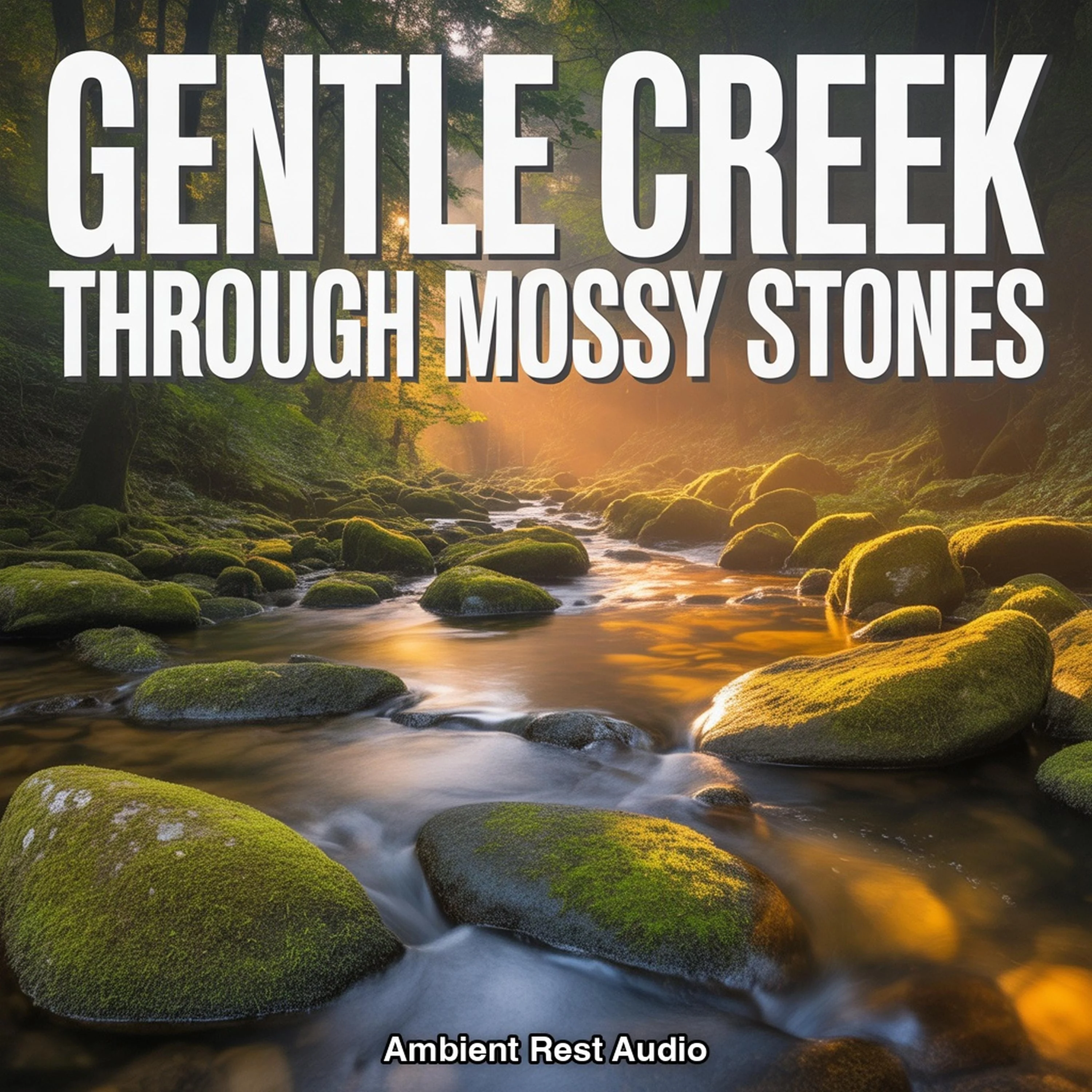Gentle Creek Through Mossy Stones