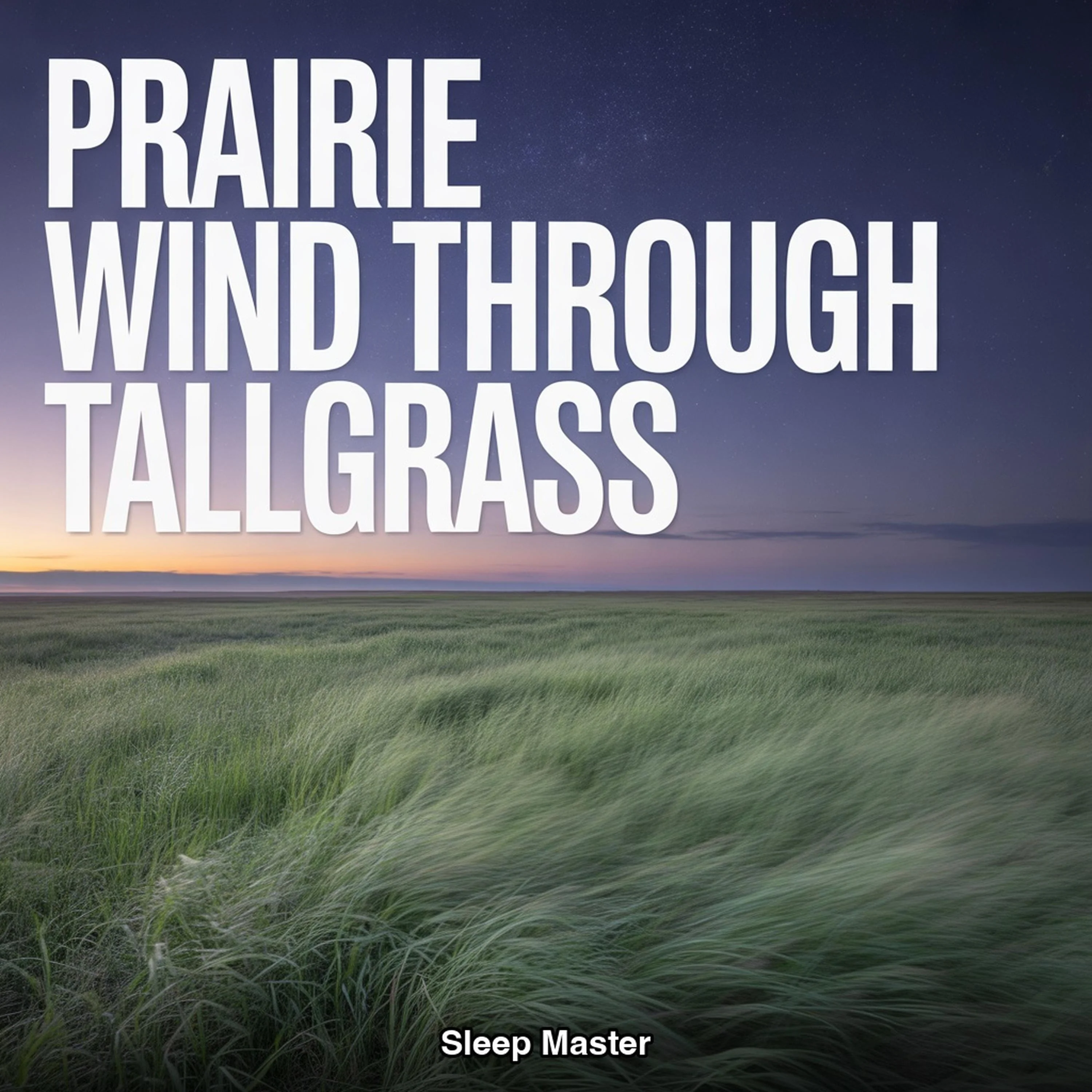 Prairie Wind Through Tallgrass
