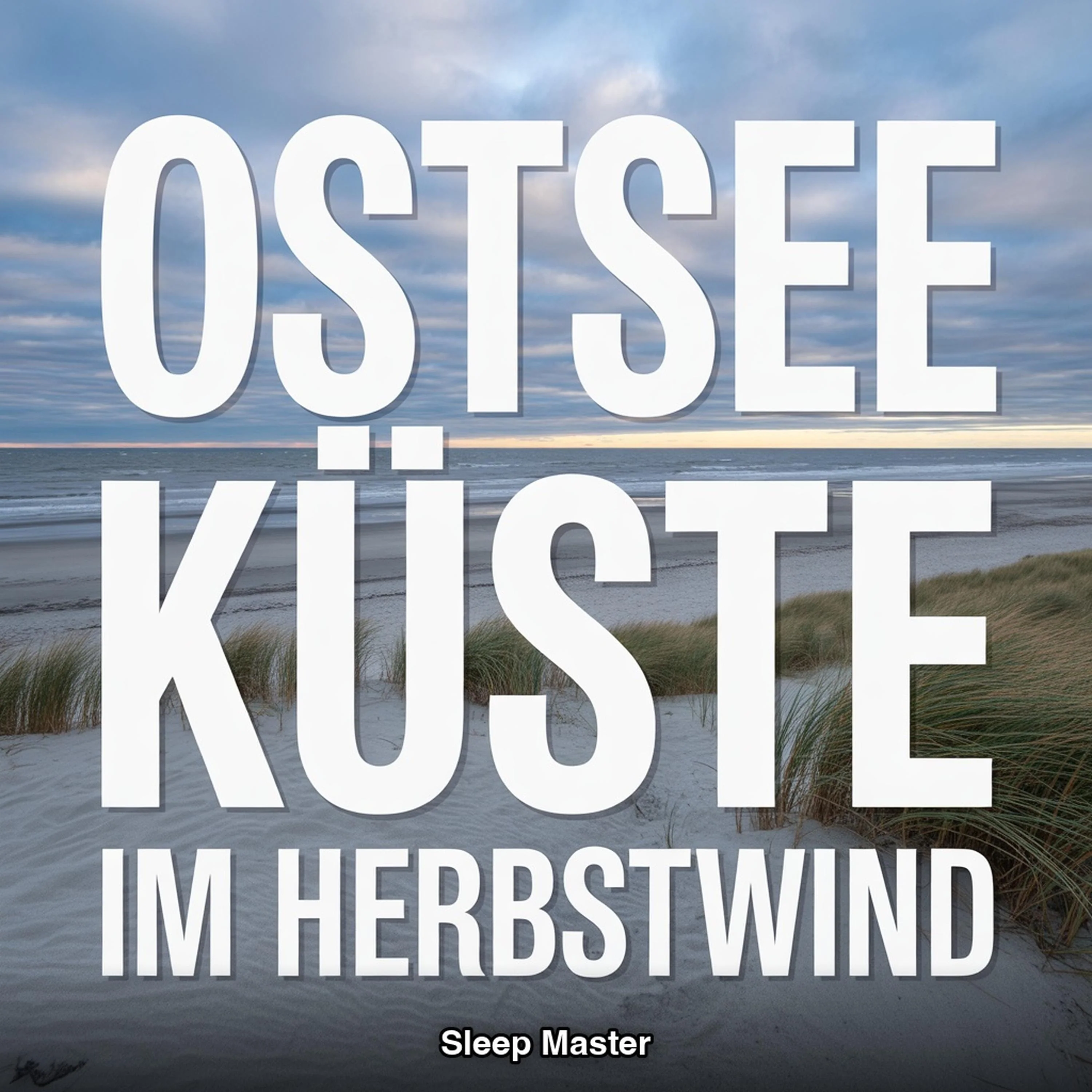 Ostseekueste im Herbstwind