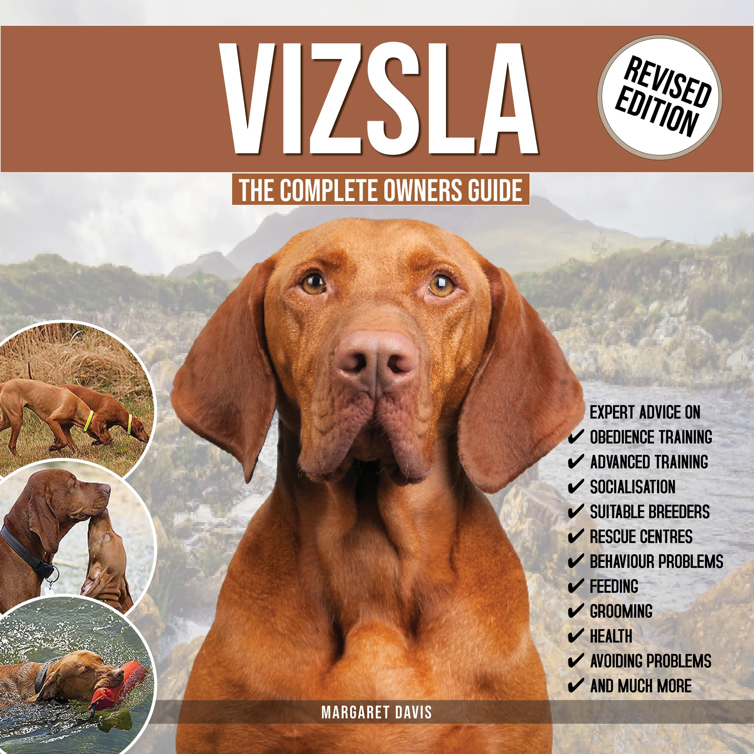 VIZSLA: