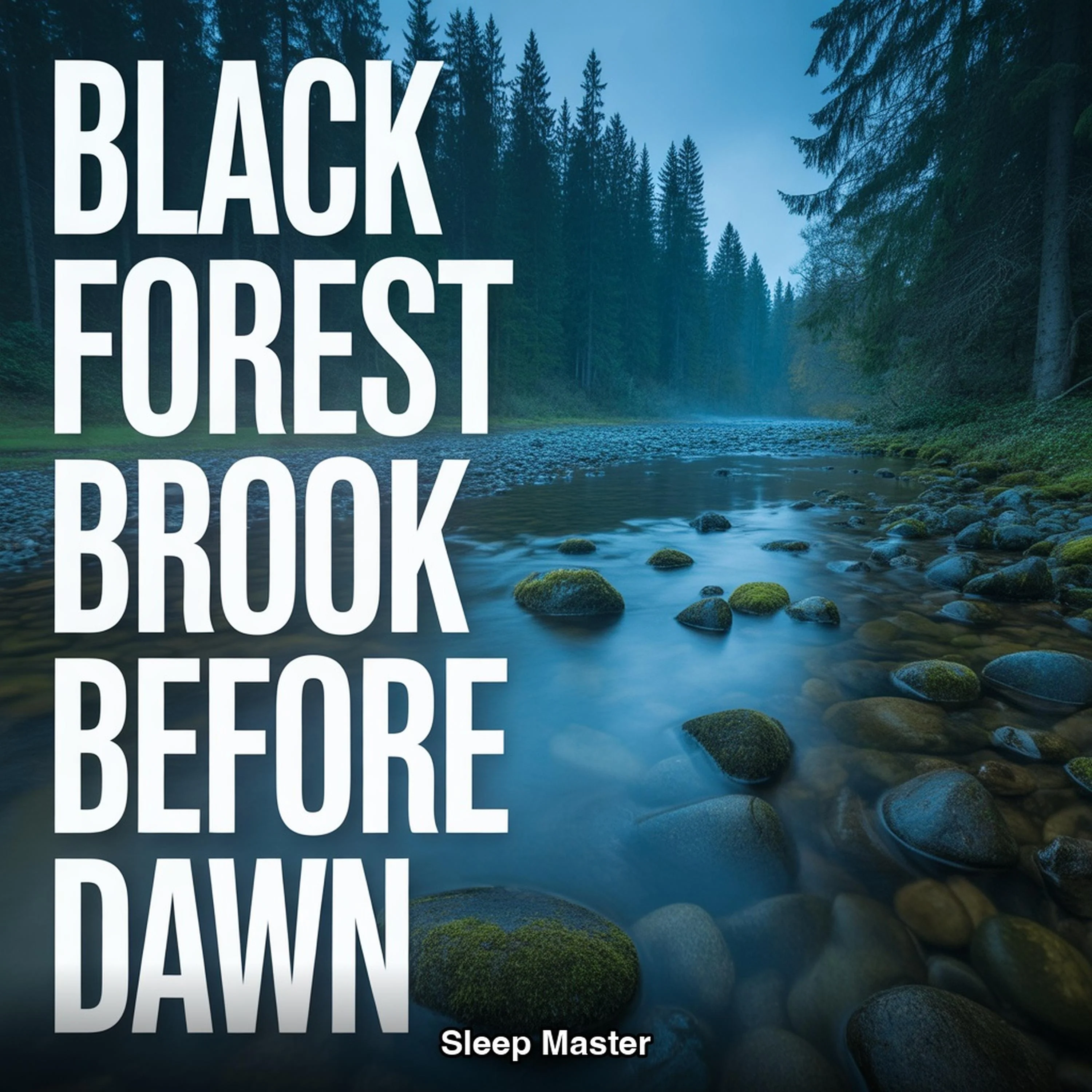 Black Forest Brook Before Dawn