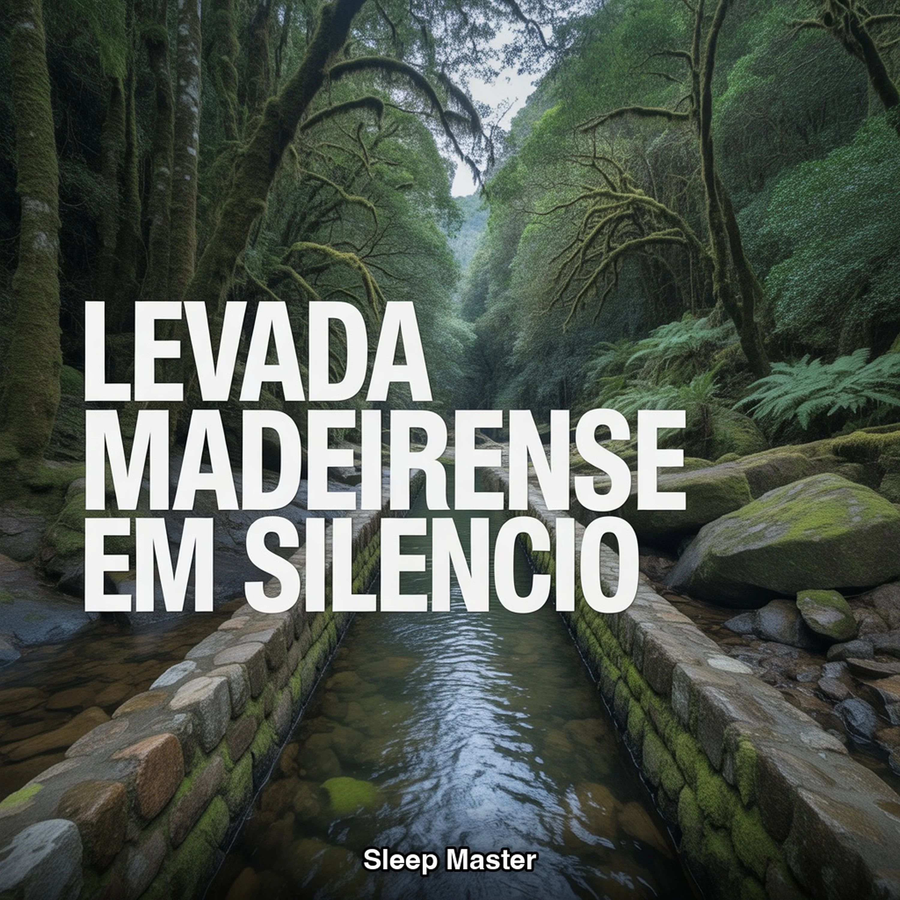 Levada Madeirense em Silencio