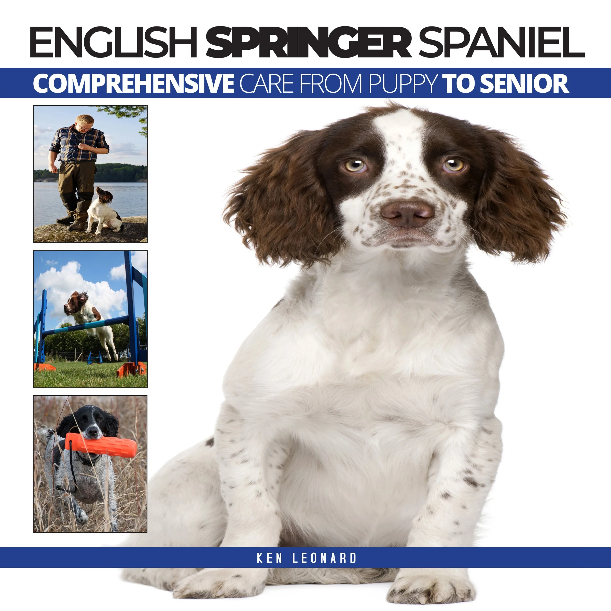 ENGLISH SPRINGER SPANIEL