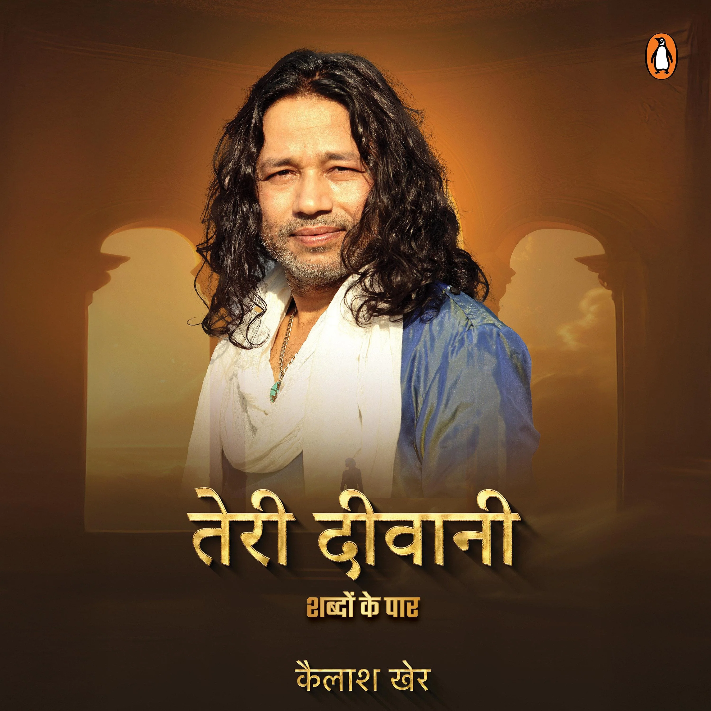 Teri Diwani (Hindi Edition)