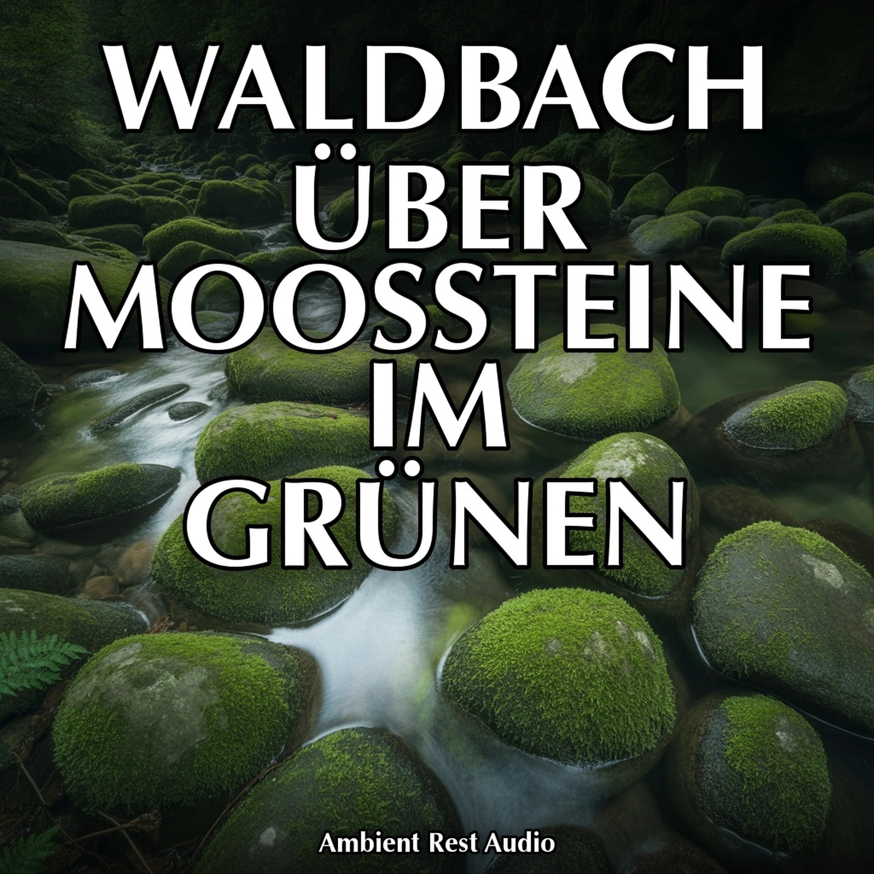Waldbach über Moossteine im Grünen